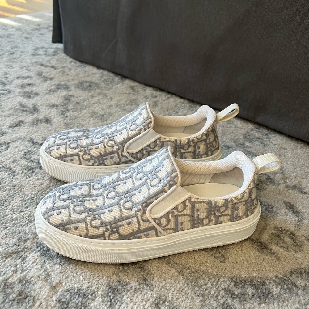 Dior solar oblique embroid sneaker in Grey Stone